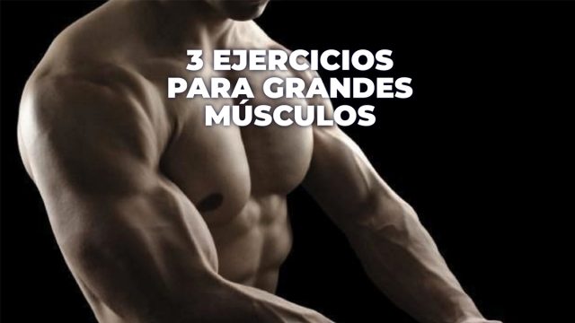 Ejercicios para fortalecer músculos